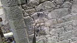 acastle
                          101540.jpg